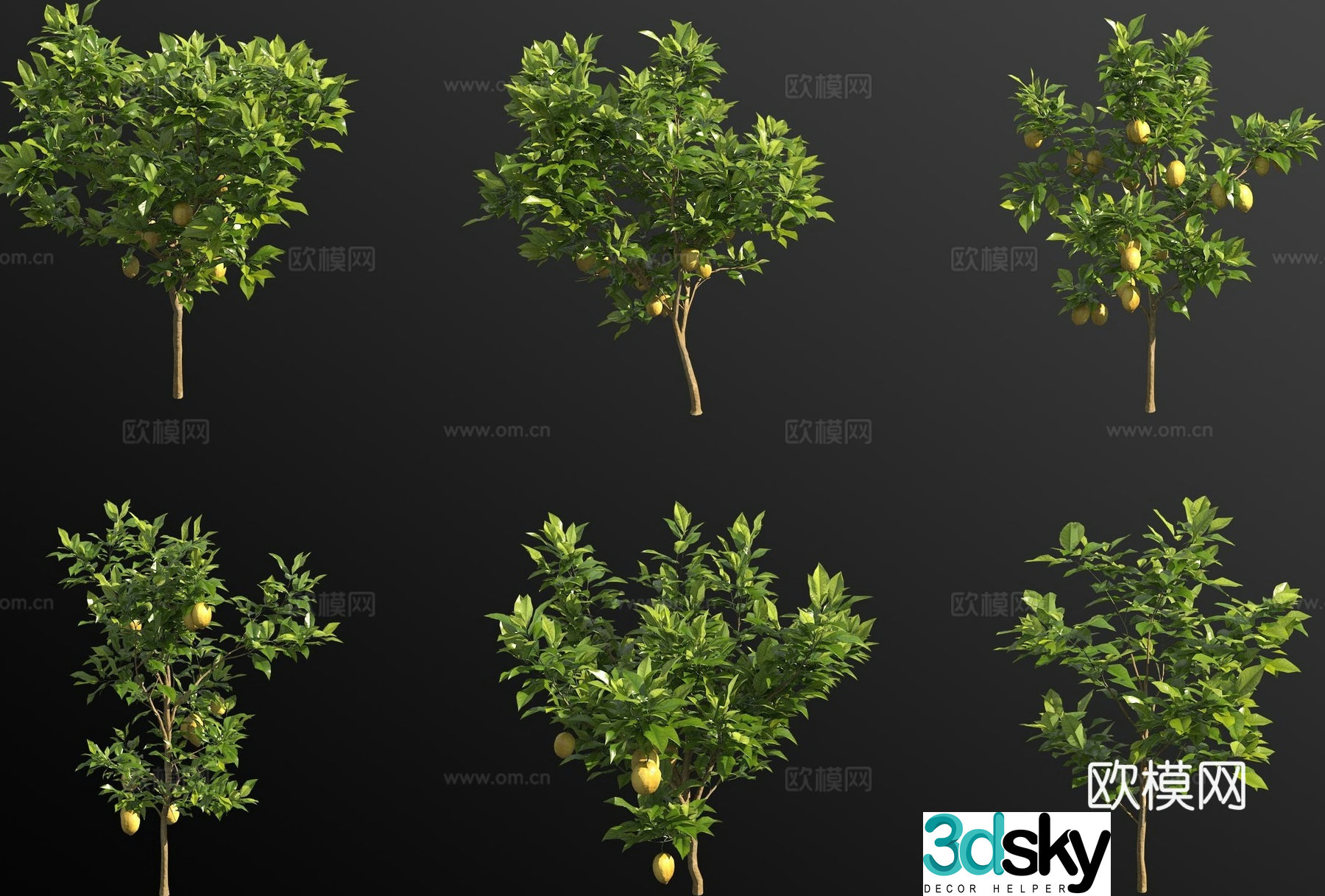 lemon tree fruit tree 3d model