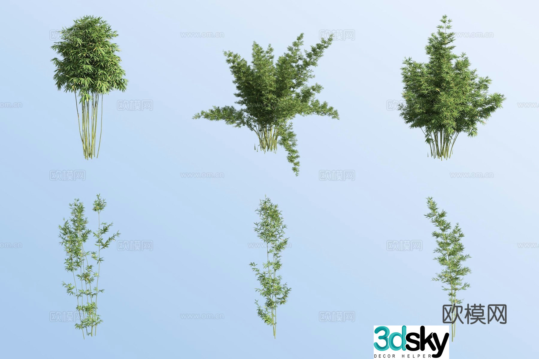 East Timor black bamboo 3d model