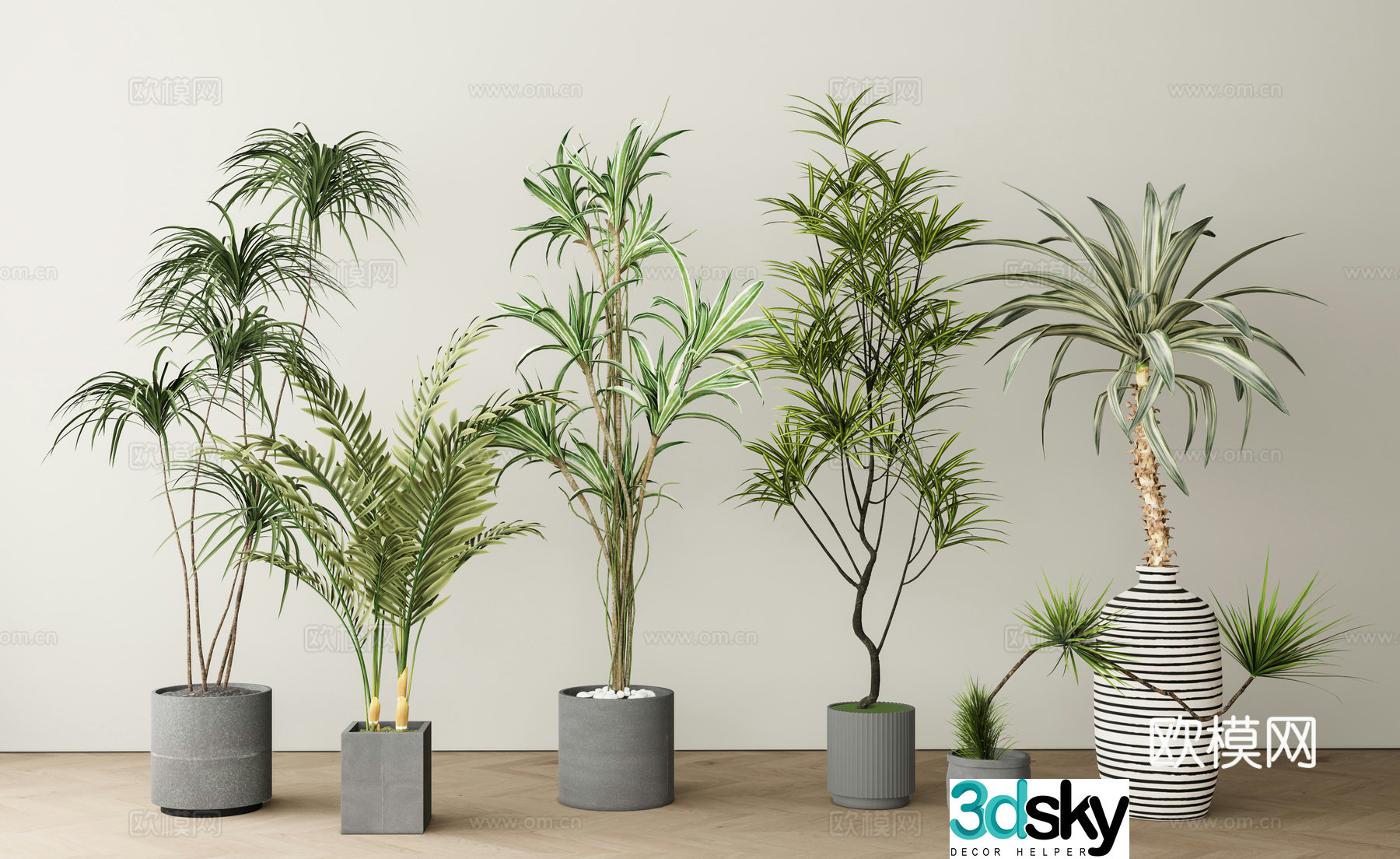 Modern green plant pot plant 3d model