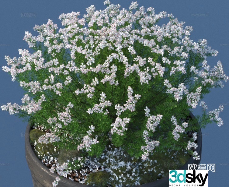 flowerpot potted plant green plant plant 3d model