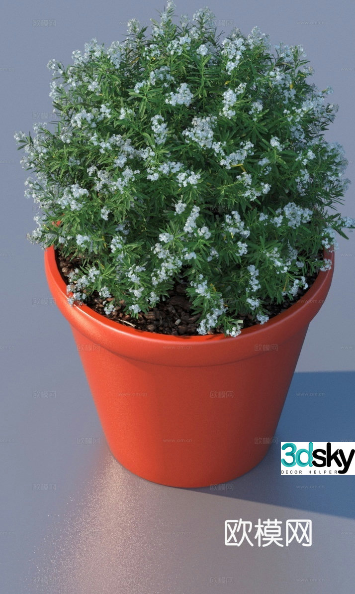 flowerpot potted plant green plant plant 3d model