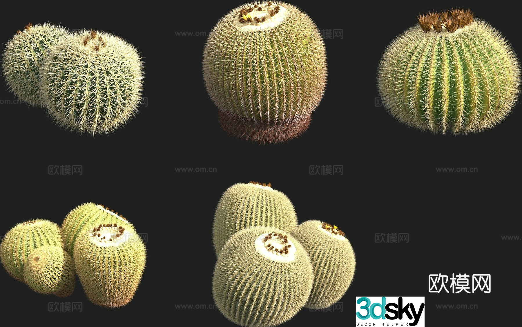Golden amber cactus 3d model