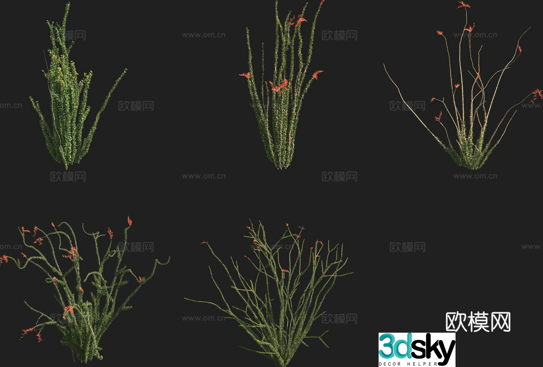 Fugui tree Fugui tree flowers and plants 3d model