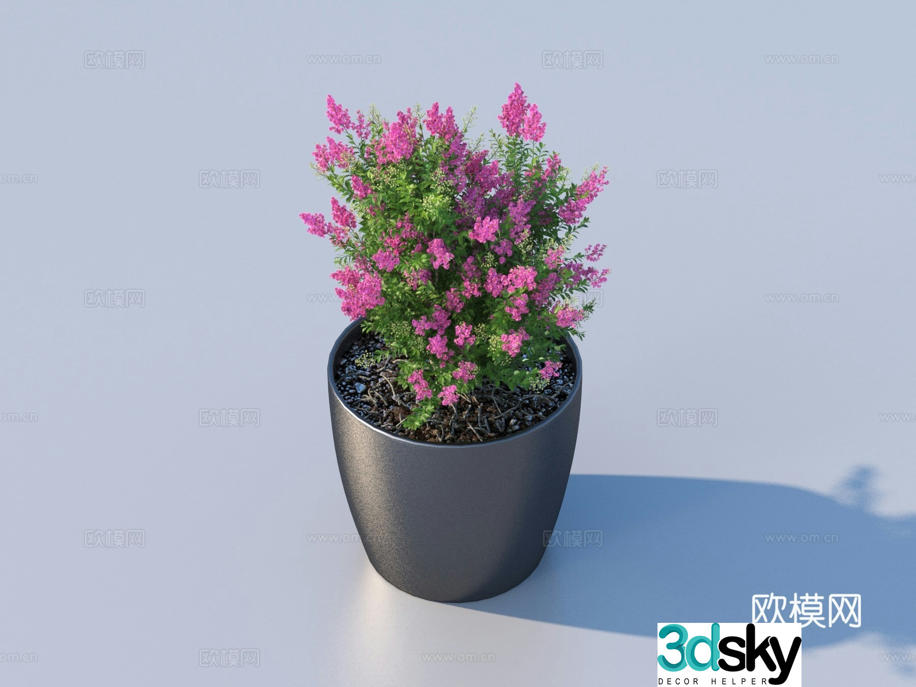 flowerpot potted plant green plant plant 3d model
