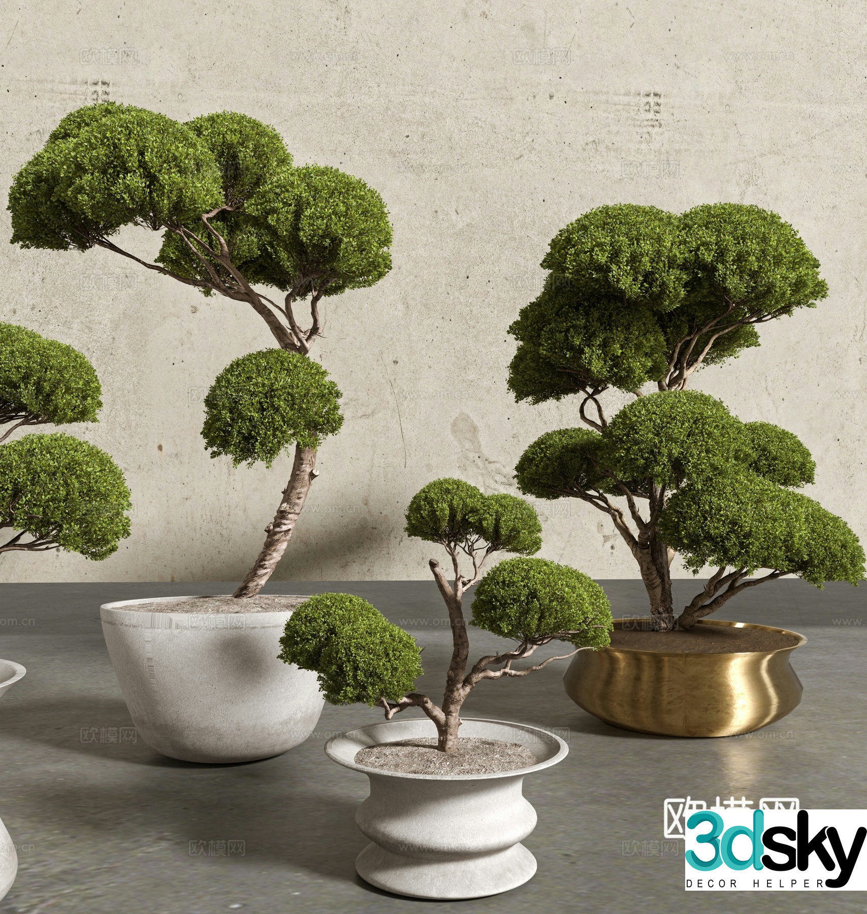 Chinese bonsai bonsai 3d model