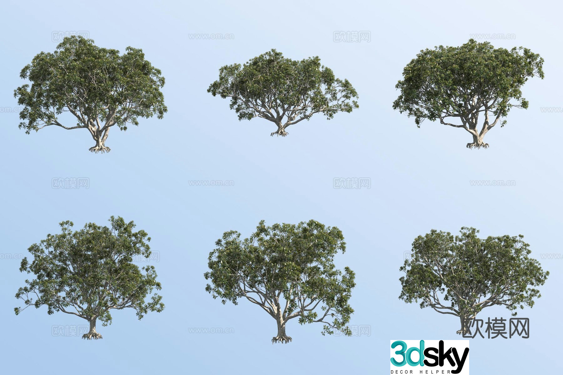 Big leaf banyan black tiger tree 3d model