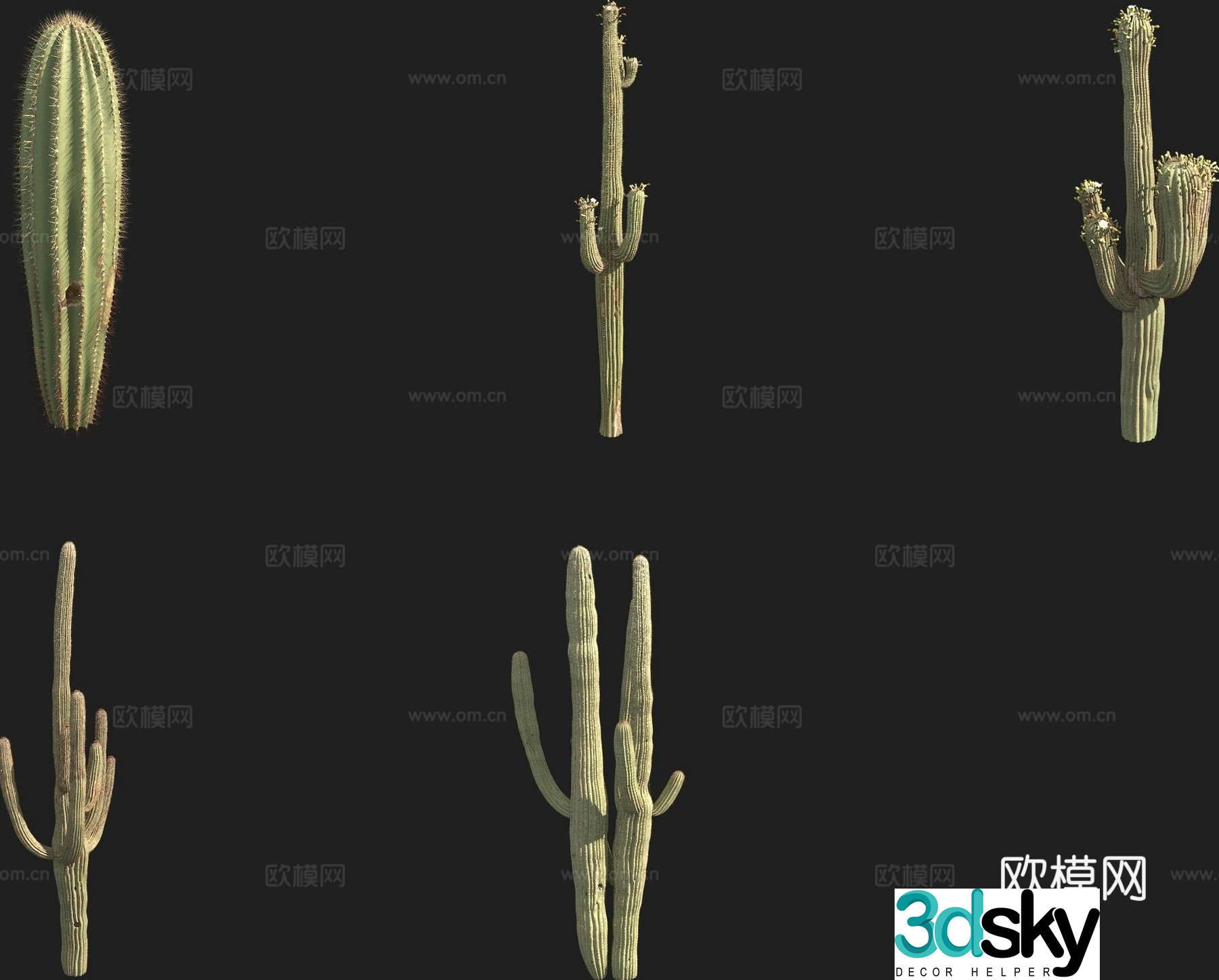 Giant Column cactus column 3d model