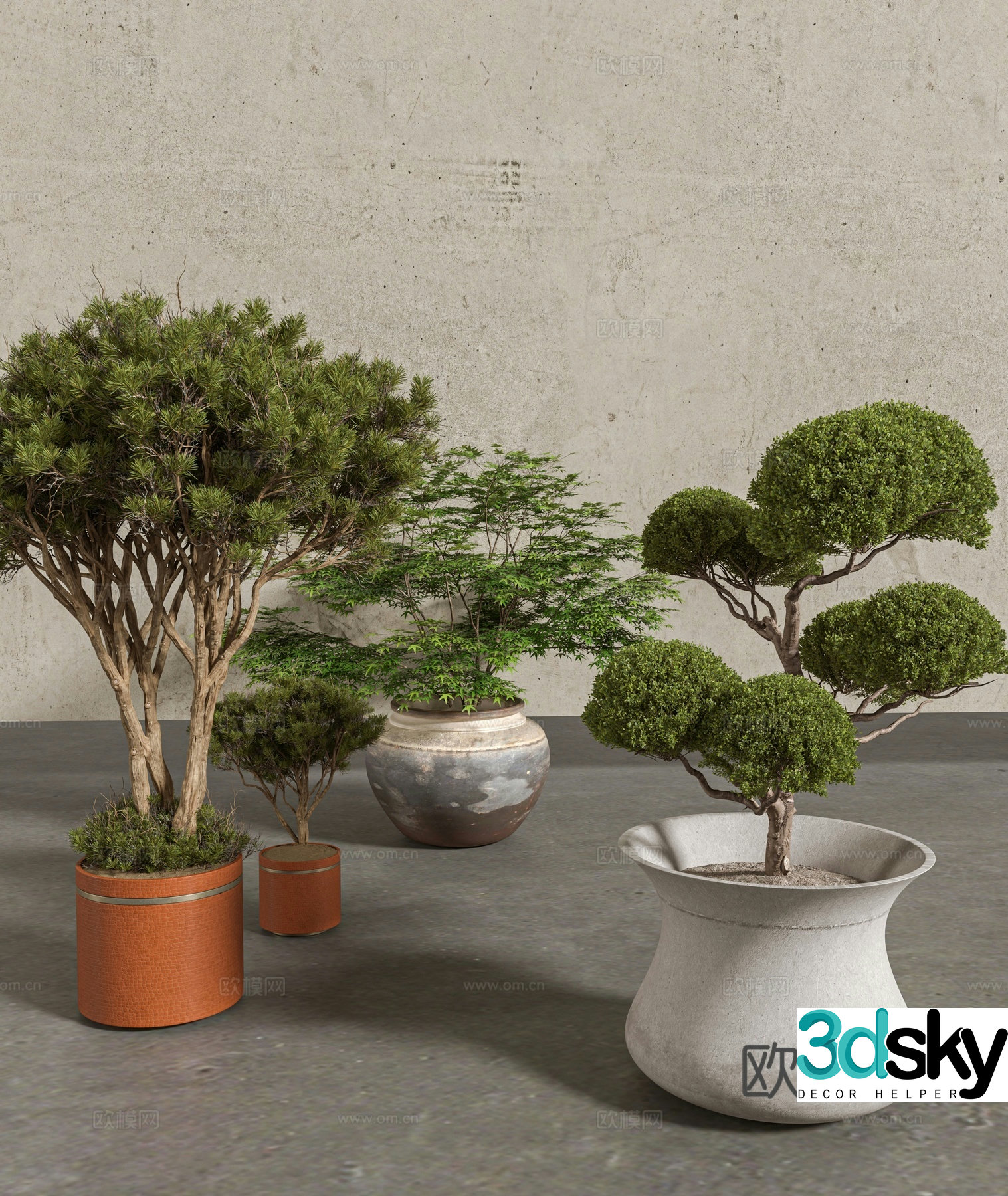 Chinese potted green plant 3d model