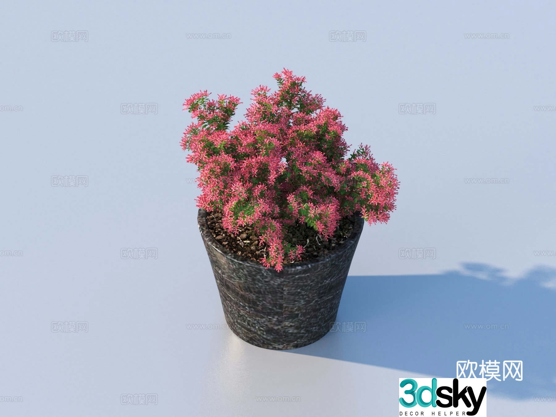 flowerpot potted plant green plant plant 3d model