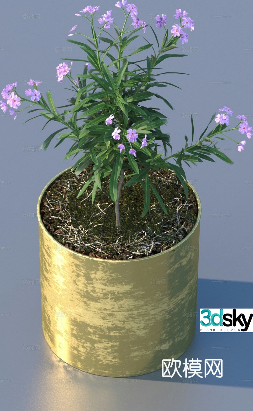 flowerpot potted plant green plant plant 3d model
