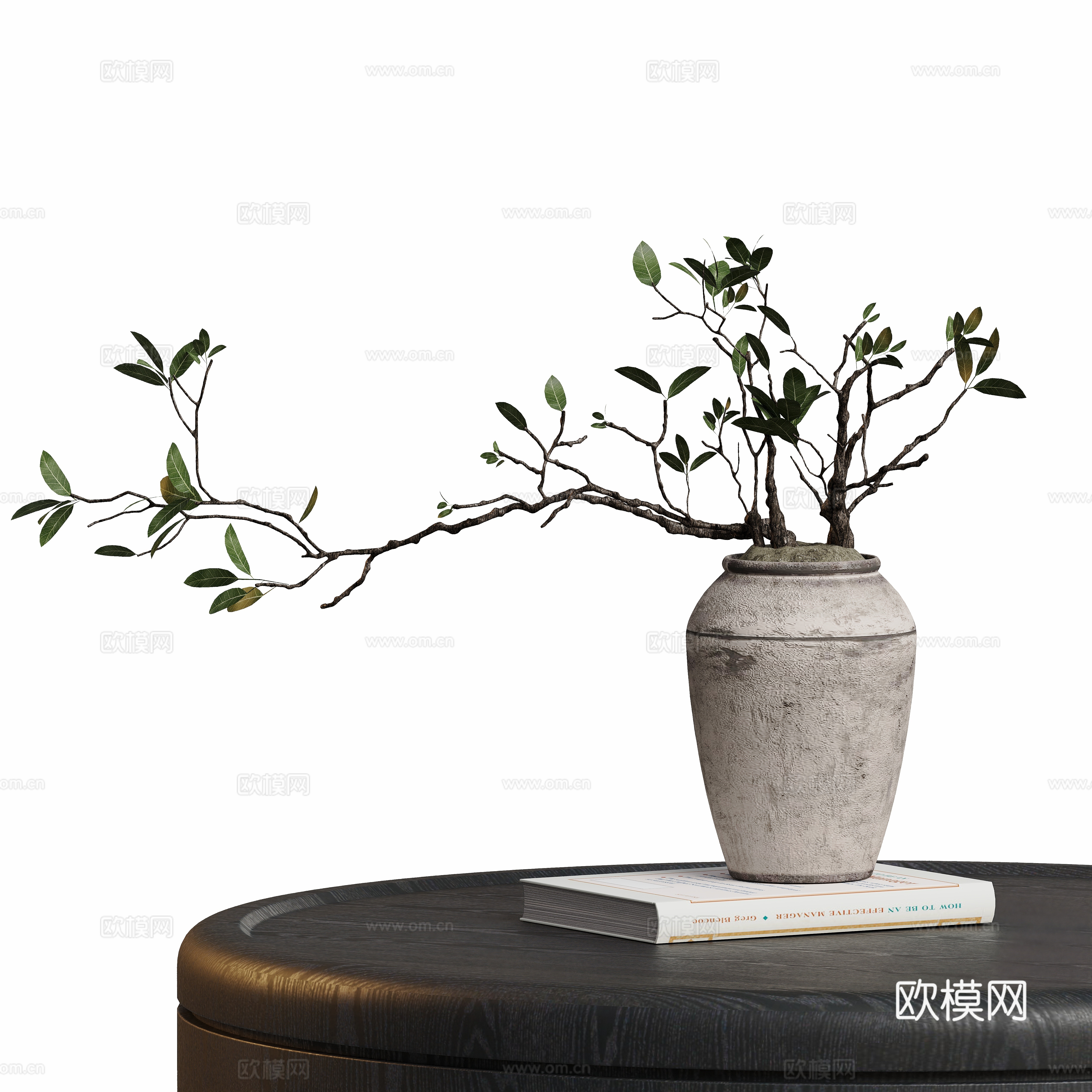 Modern potted plant 3d model