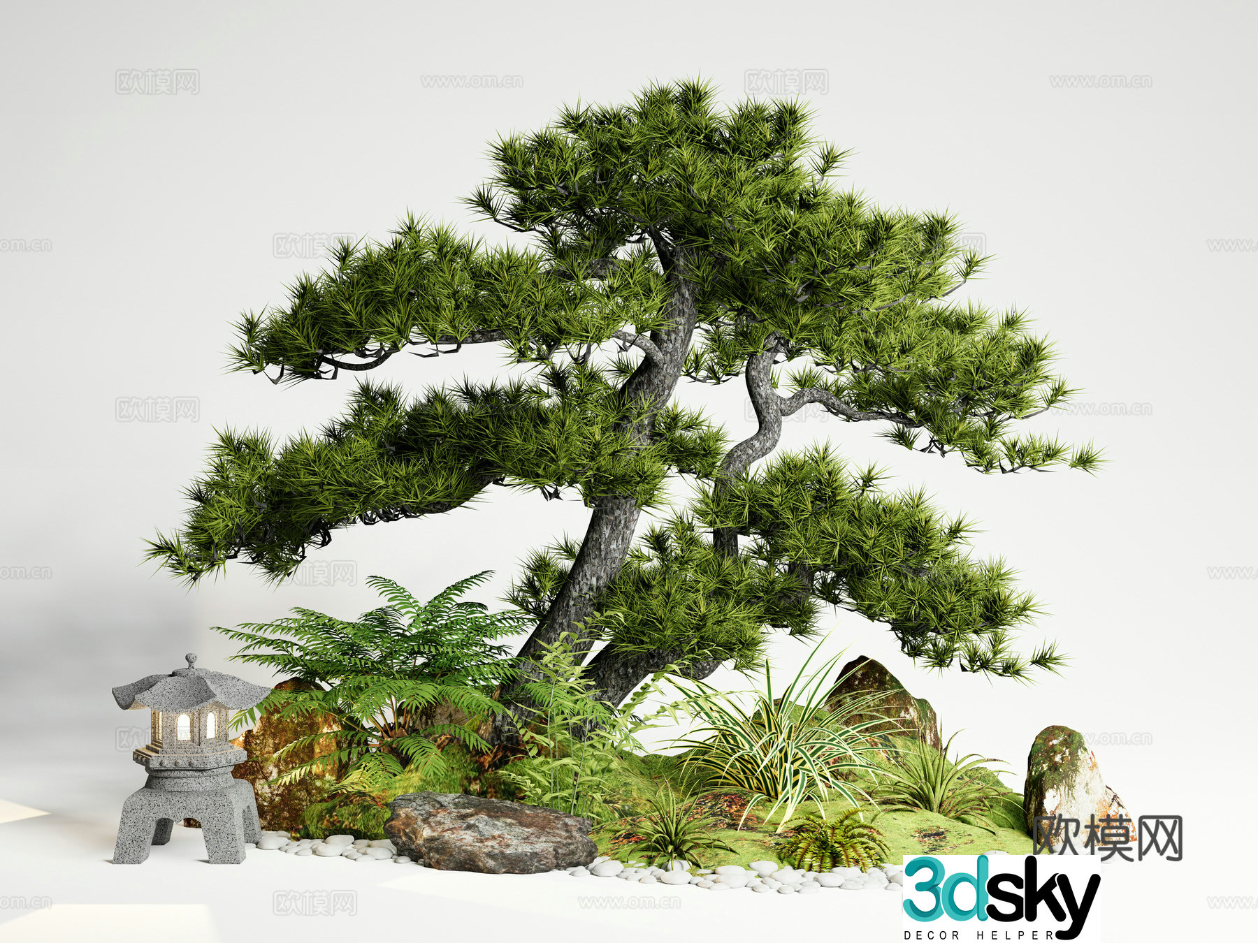 New Chinese style courtyard sketch courtyard landscape Podocarpus 3D model