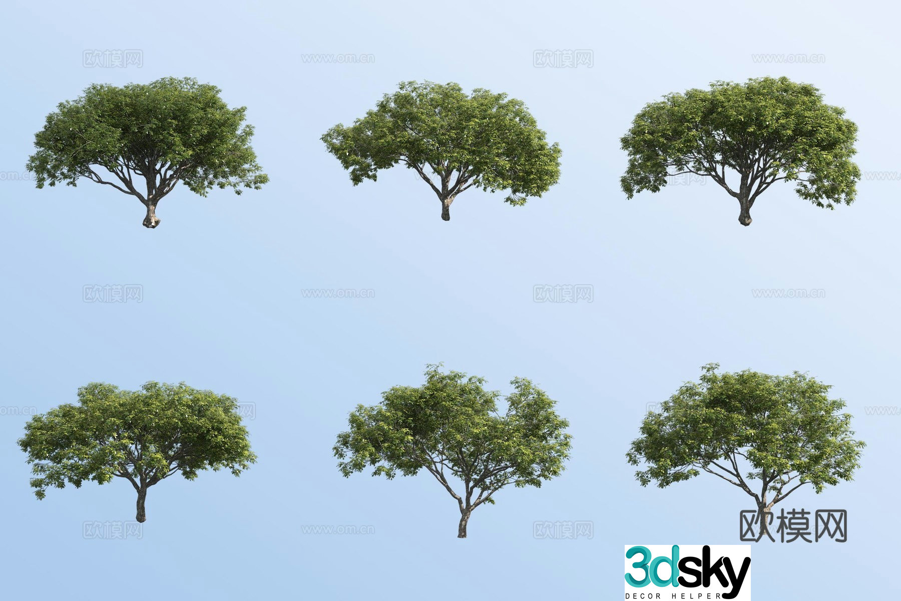 Rain tree 3d model