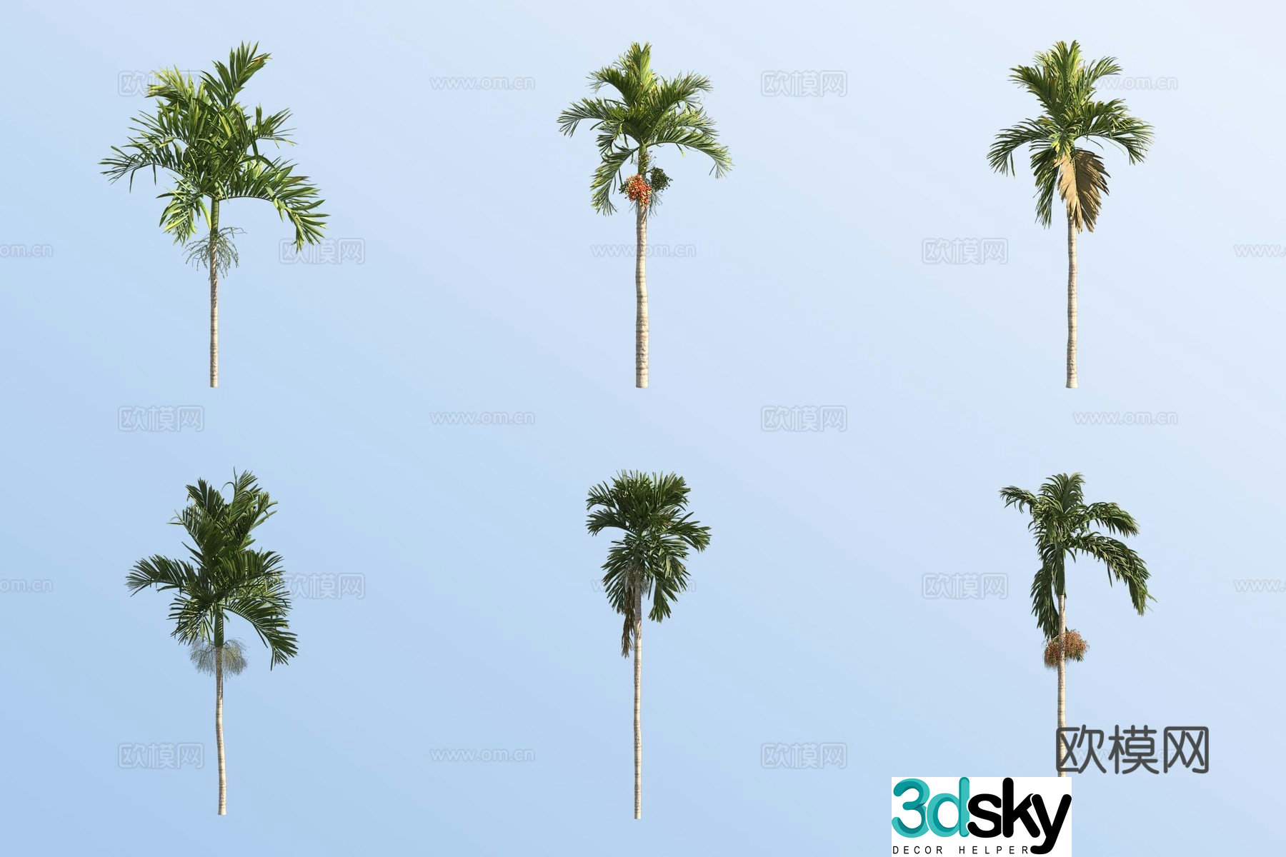 betel nut tree tropical tree landscape tree 3d model