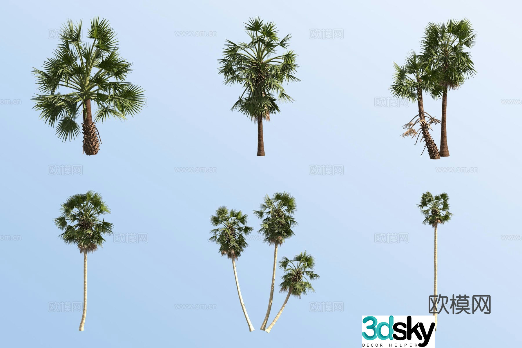 sugar palm tropical tree landscape tree palm tree 3d model