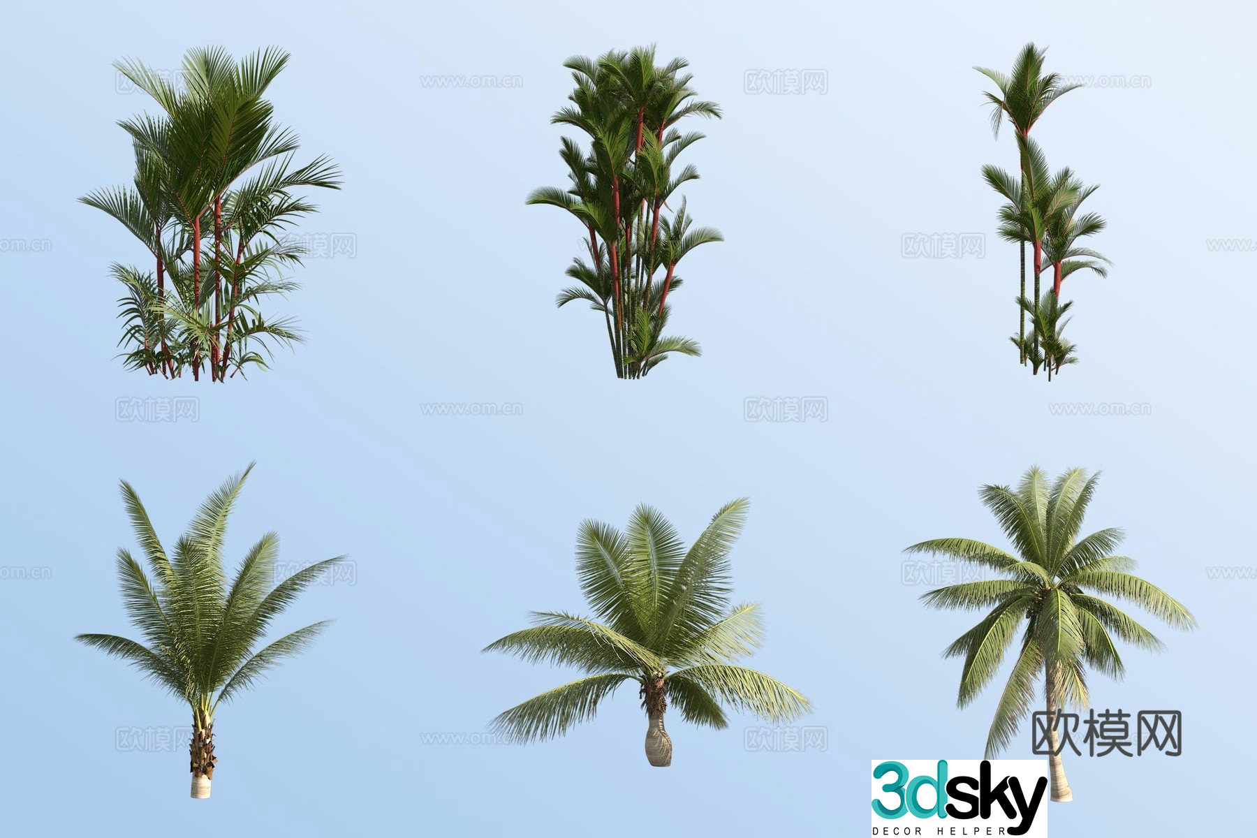 scarlet coconut tree tropical tree landscape tree 3d model