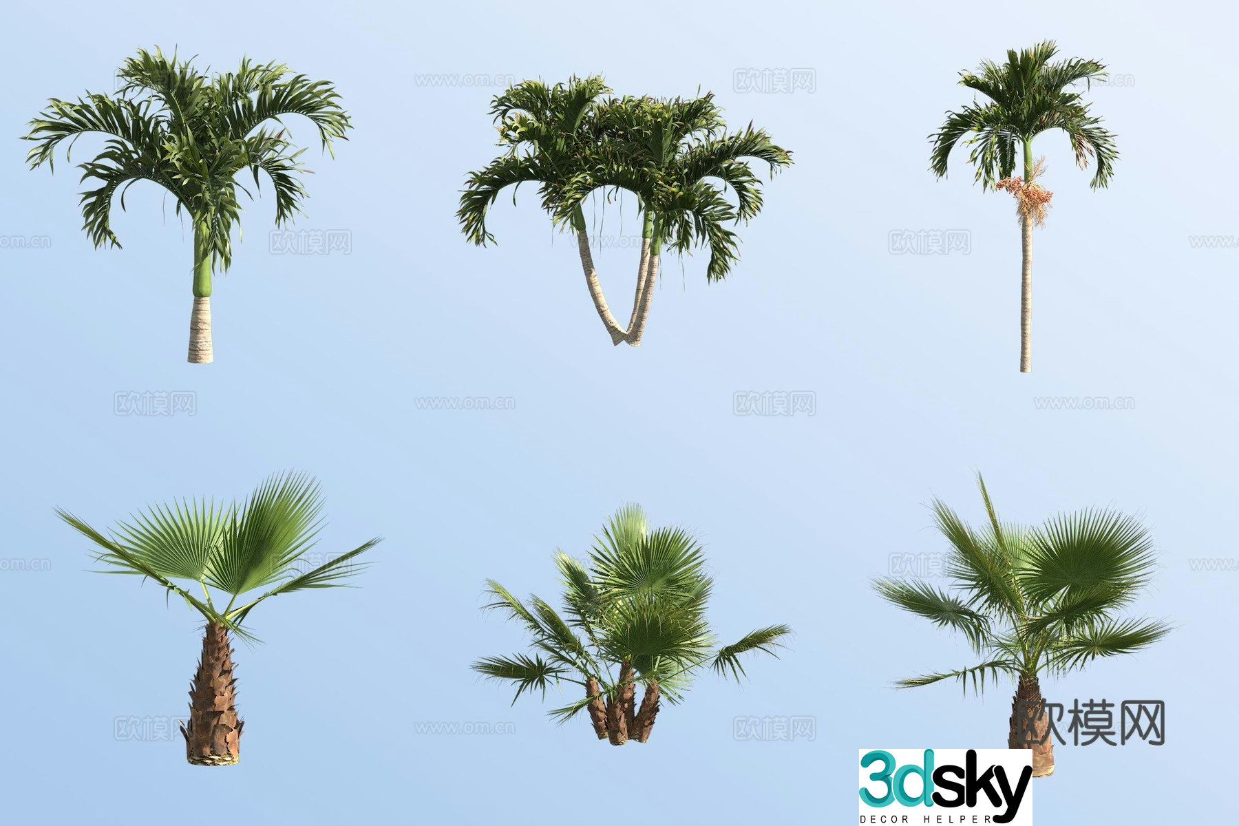 Christmas coconut tree squid tropical tree shrub 3d model