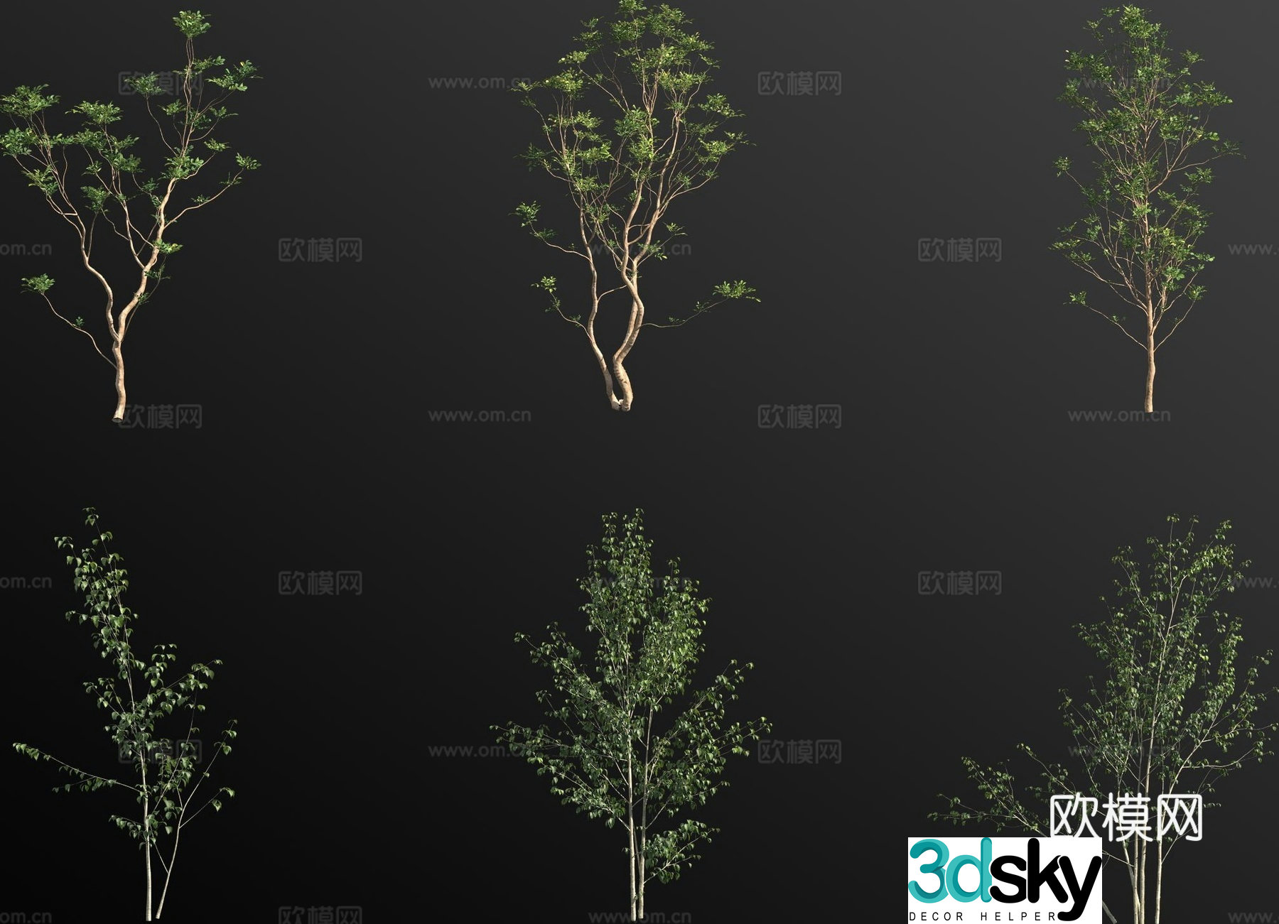 landscape tree arbor trees small tree 3d model