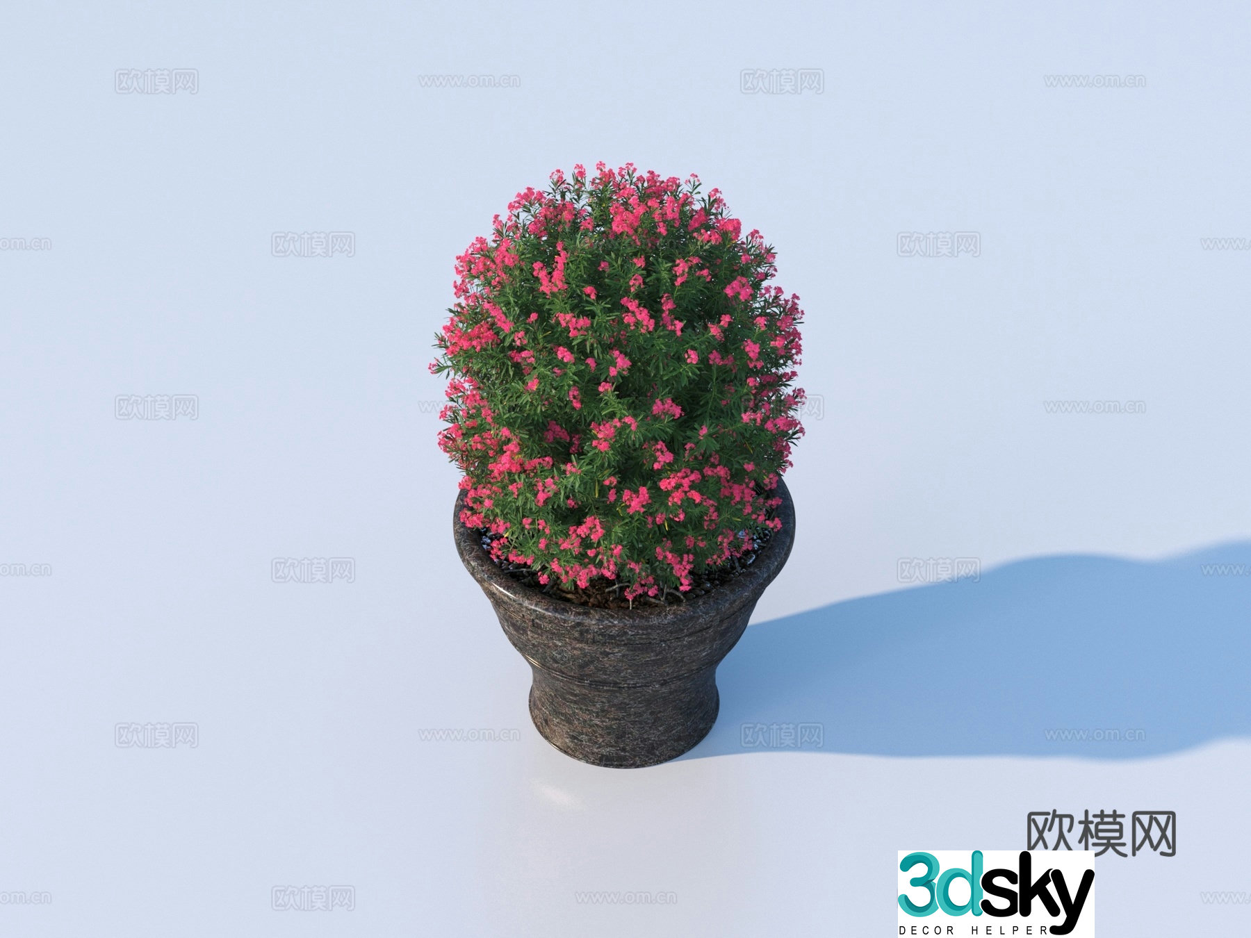 flower pot bonsai green plant plant 3d model