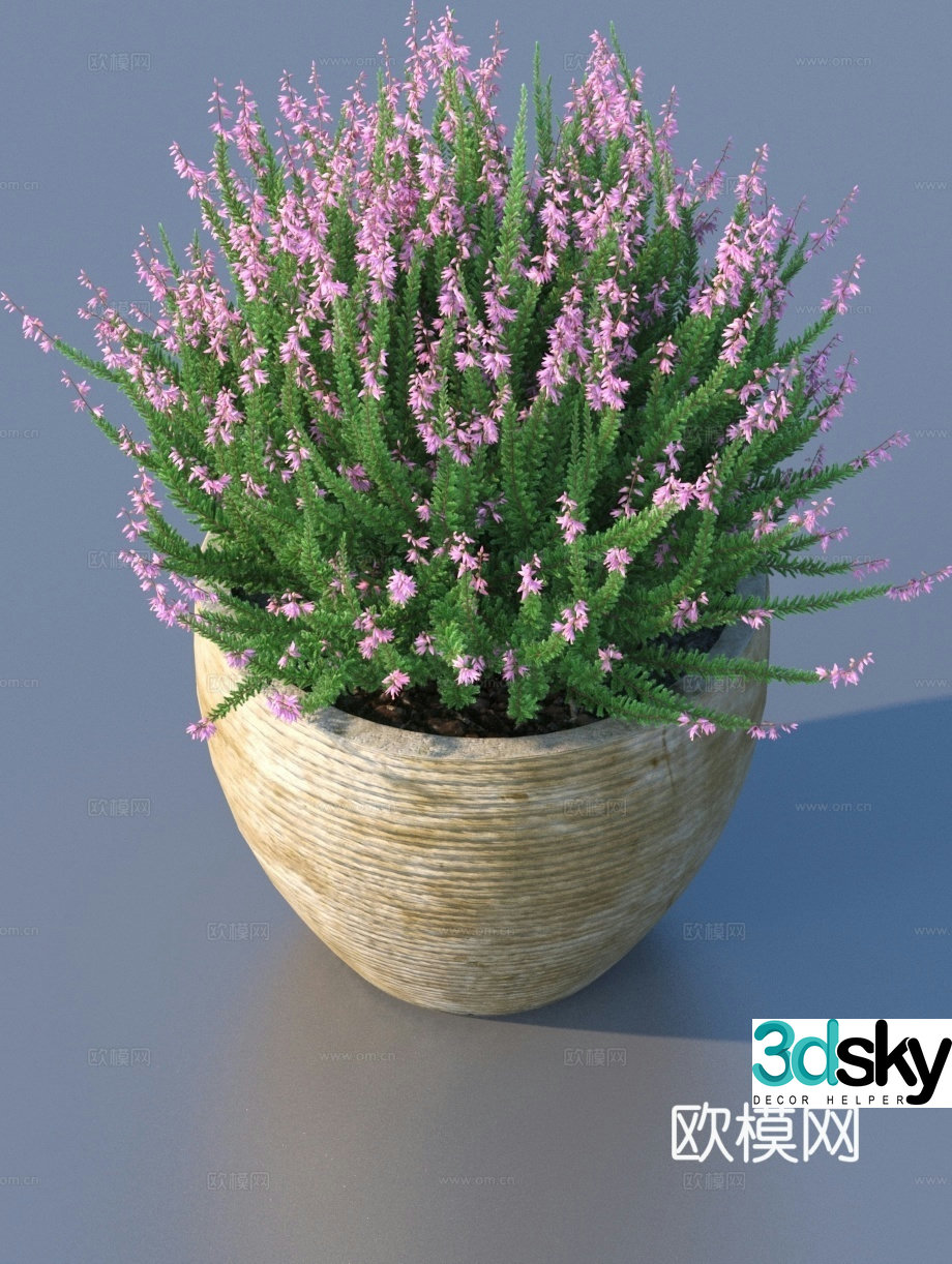 bonsai flowerpot green plant plant 3d model