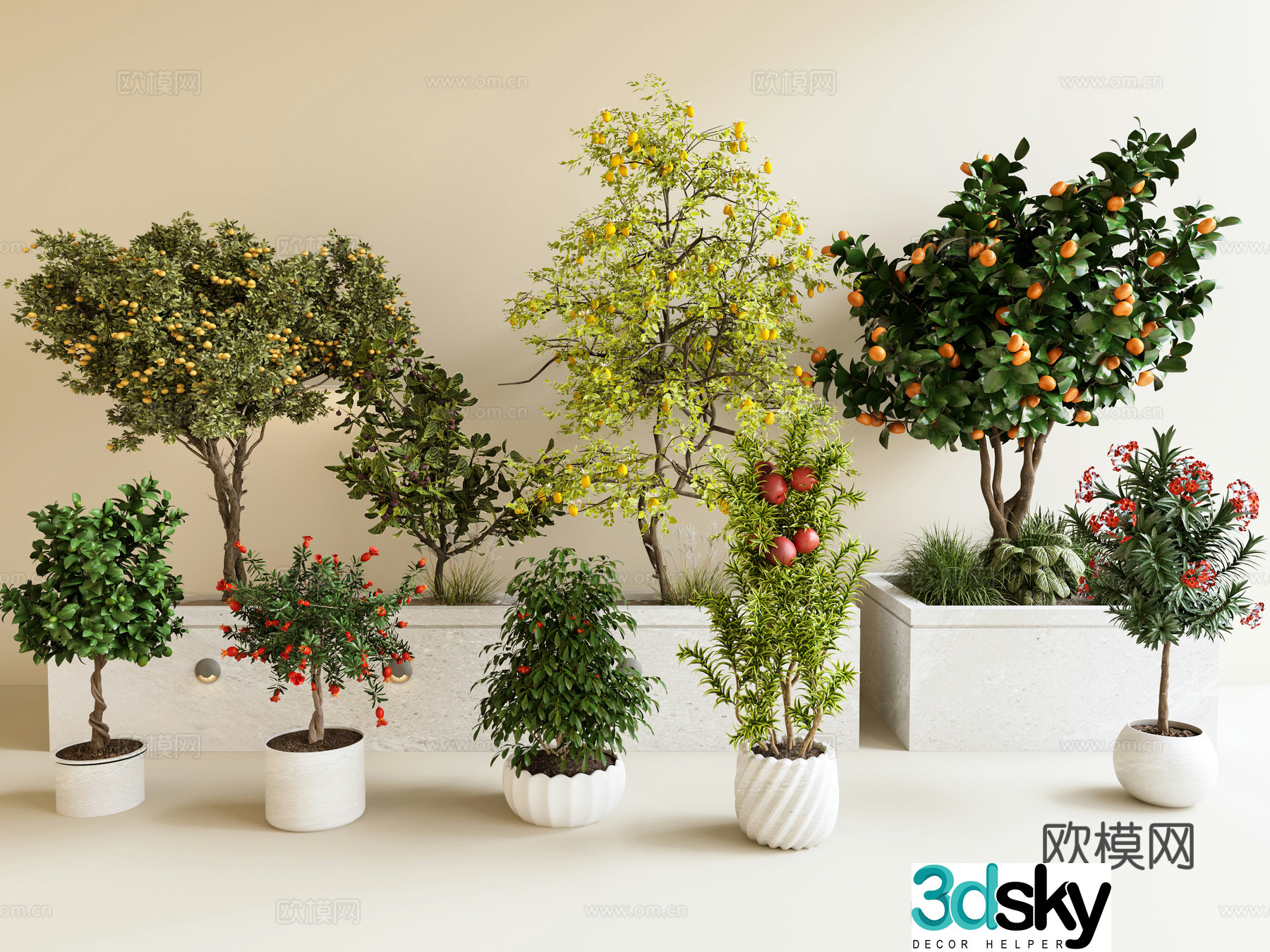 Fruit tree pear tree orange tree shrub pomegranate tree apple tree 3d model