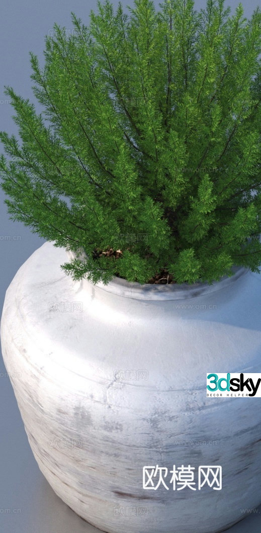 bonsai flowerpot green plant plant 3d model