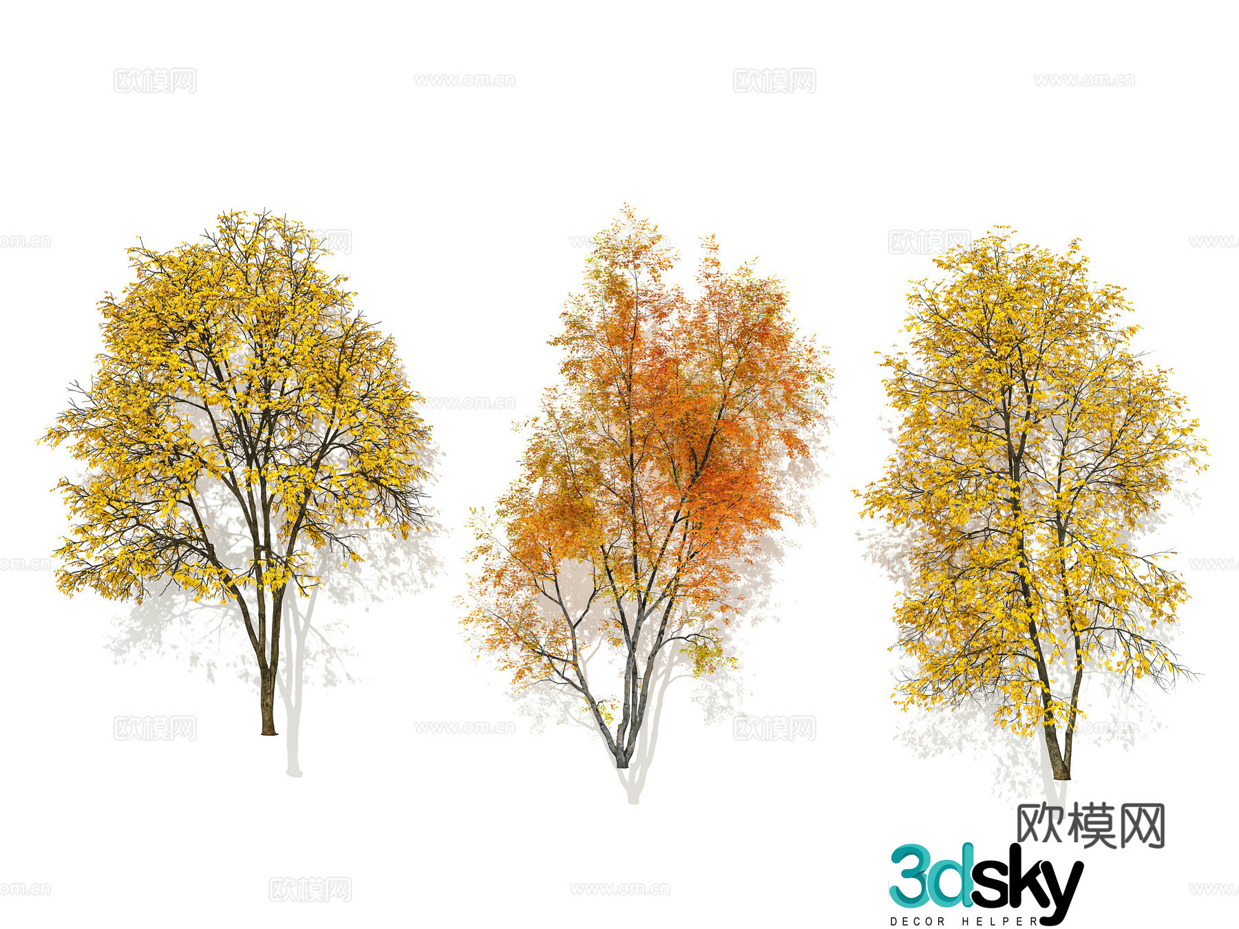 Garden trees street trees trees deciduous trees autumn trees ginkgo 3d model