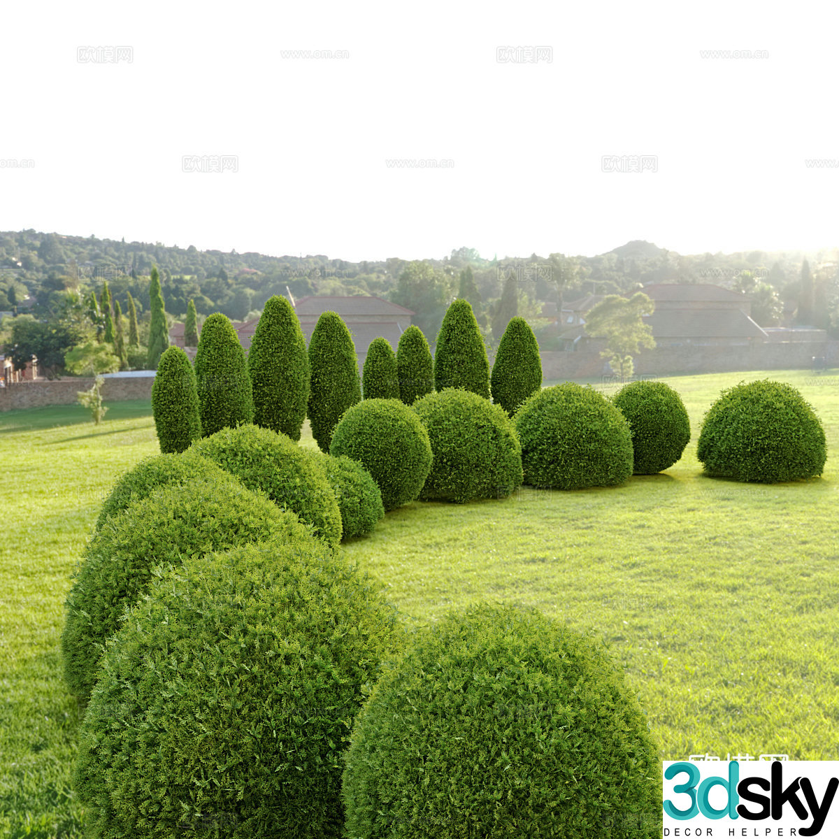 Tree Shrub Ball Hedge 3d model