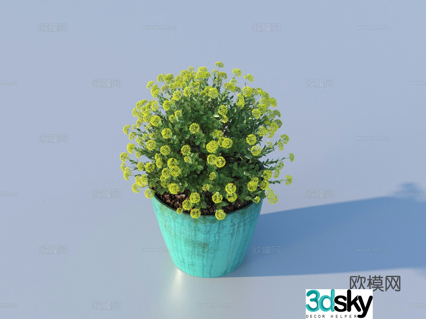 bonsai flowerpot green plant plant 3d model