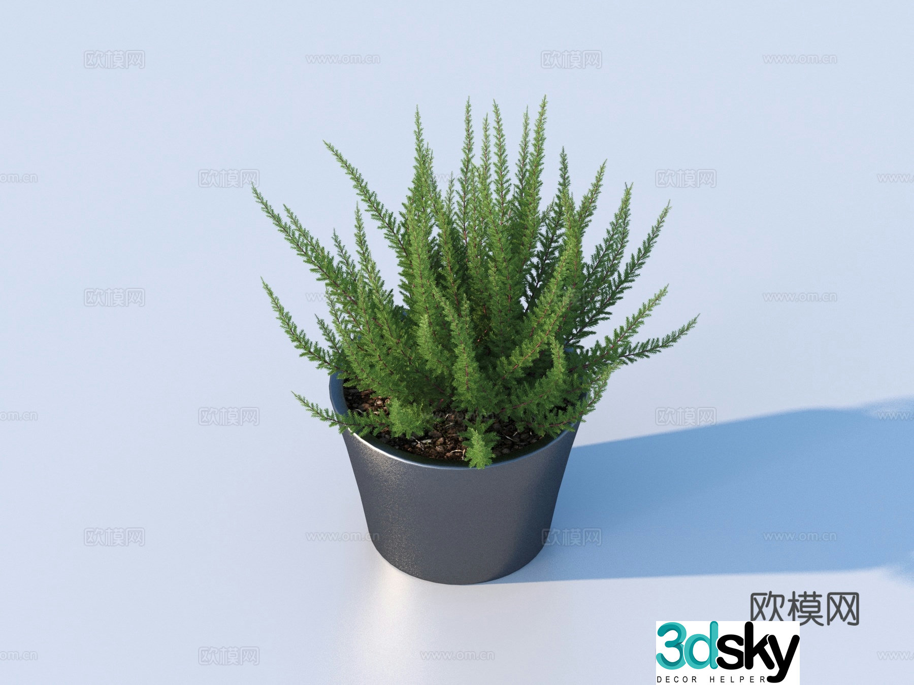 bonsai flowerpot green plant plant 3d model