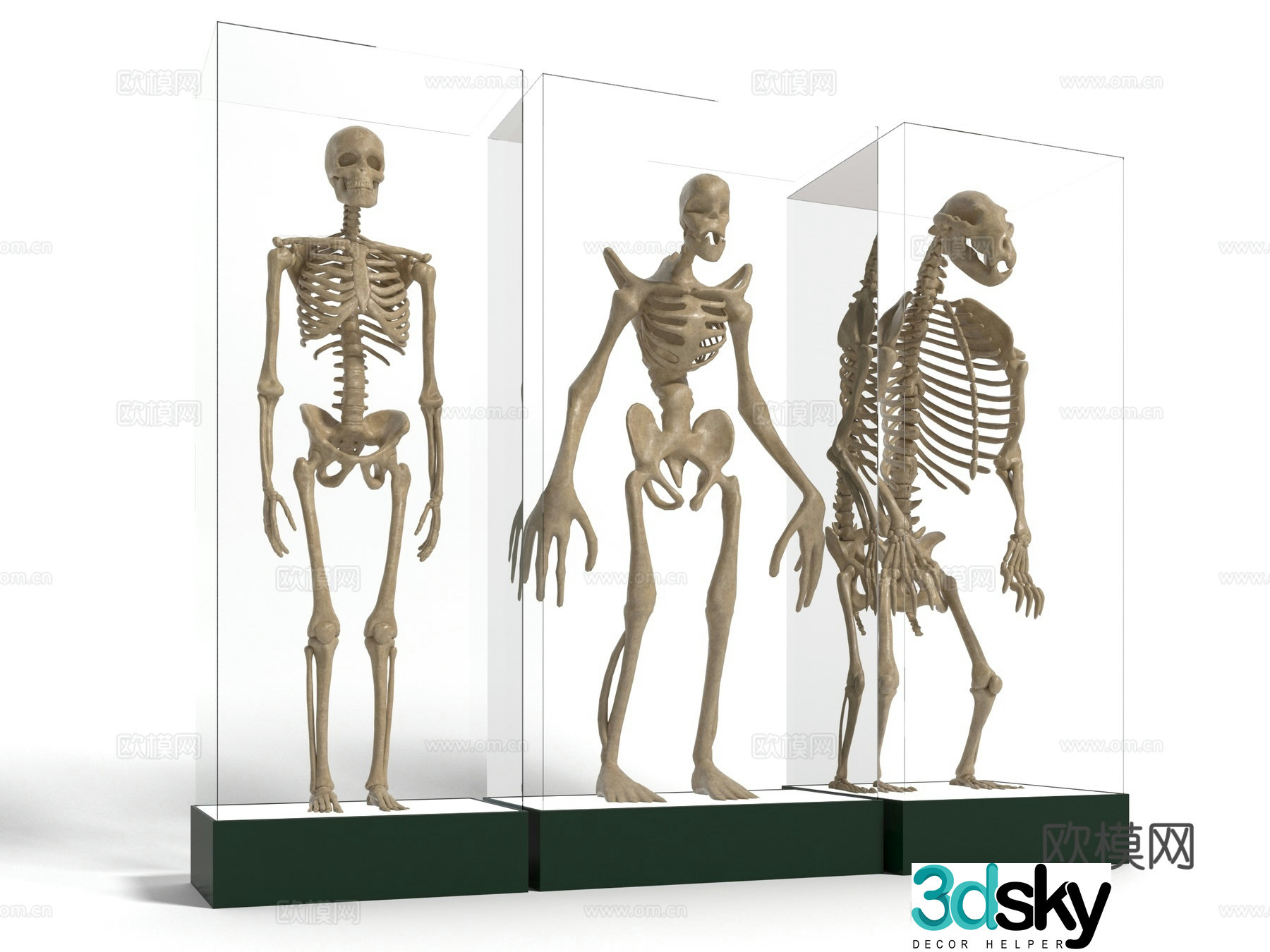 Modern ape skeleton sculpture 3d model
