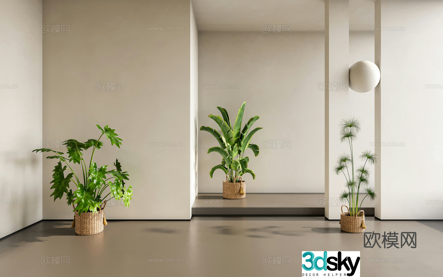 indoor potted banana leaf plant green plant 3d model