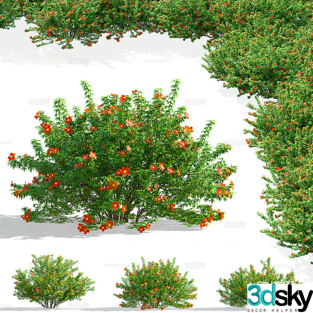 Flowers plants green plants 3d model