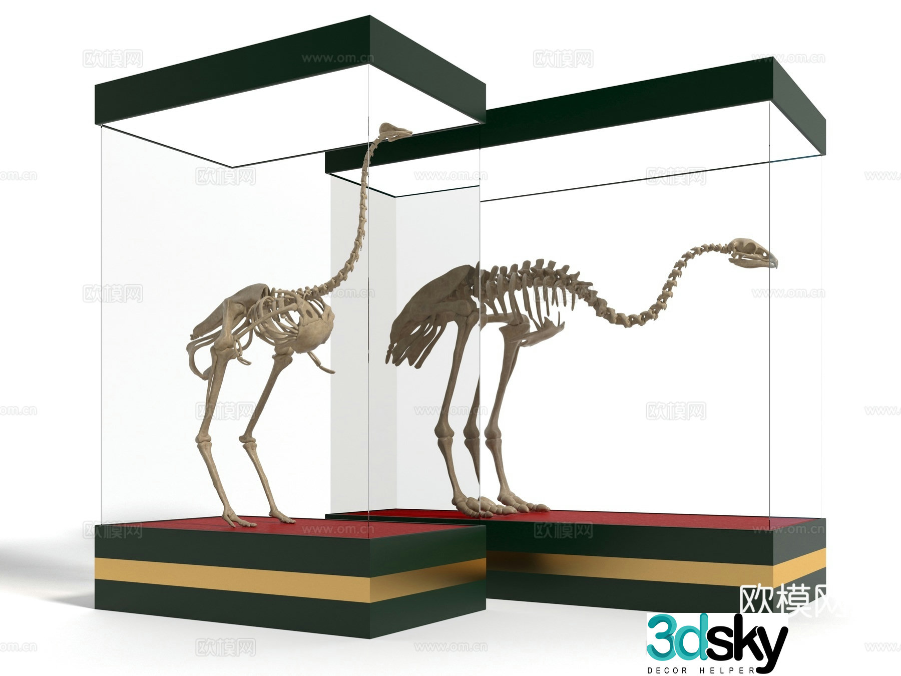 Modern skeleton sculpture showcase 3d model