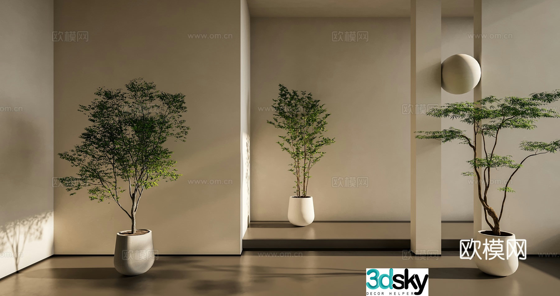 indoor potted kidney fern plant green plant 3d model
