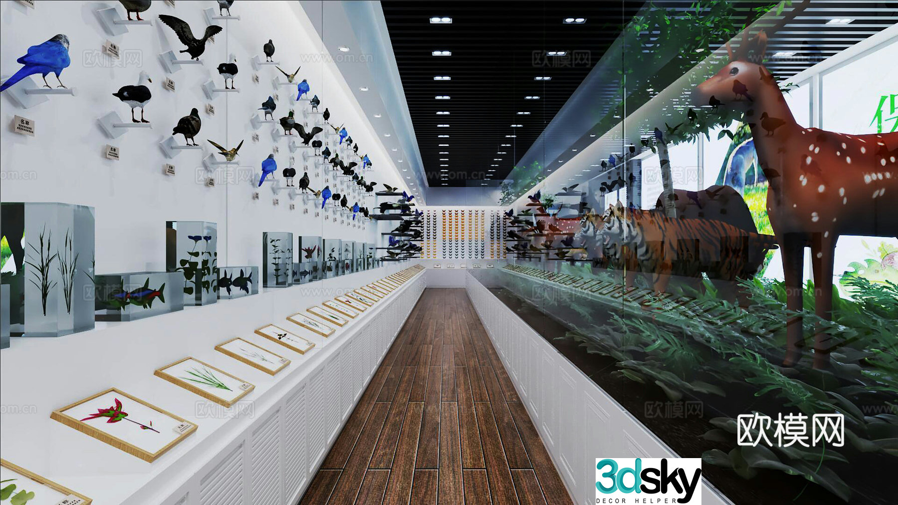 Modern museum specimen exhibition hall 3d model