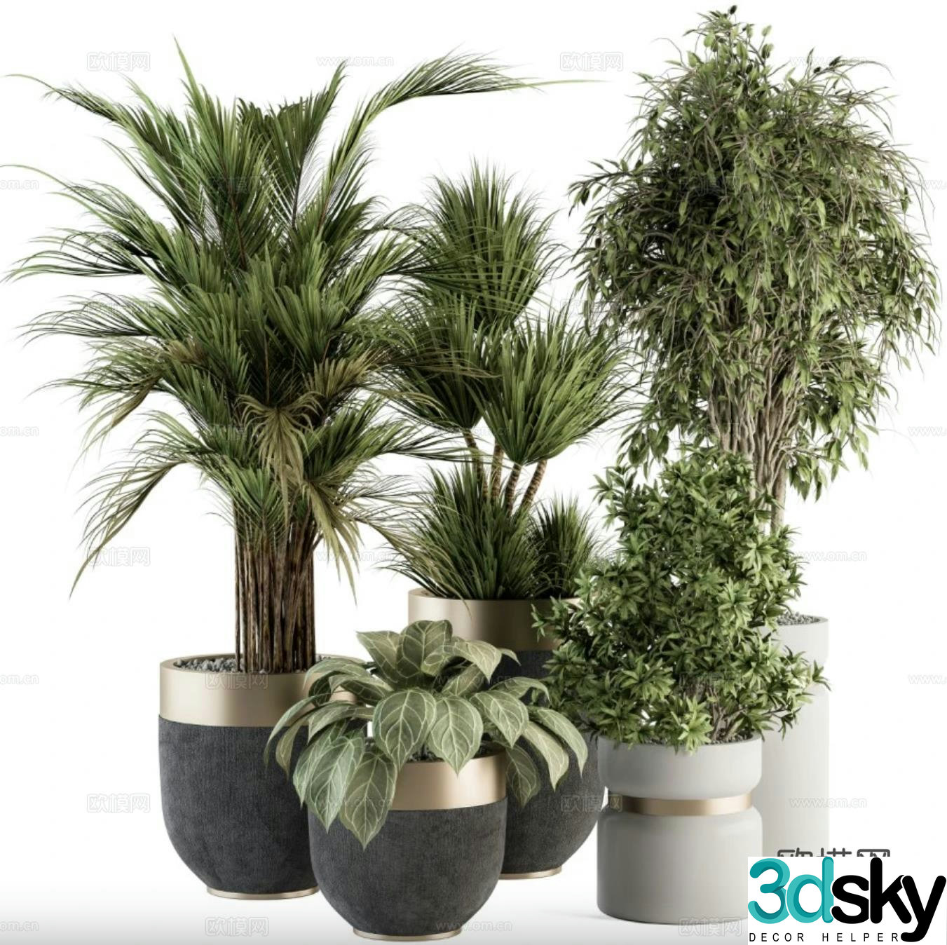 Floor green plant potted plant 3D model