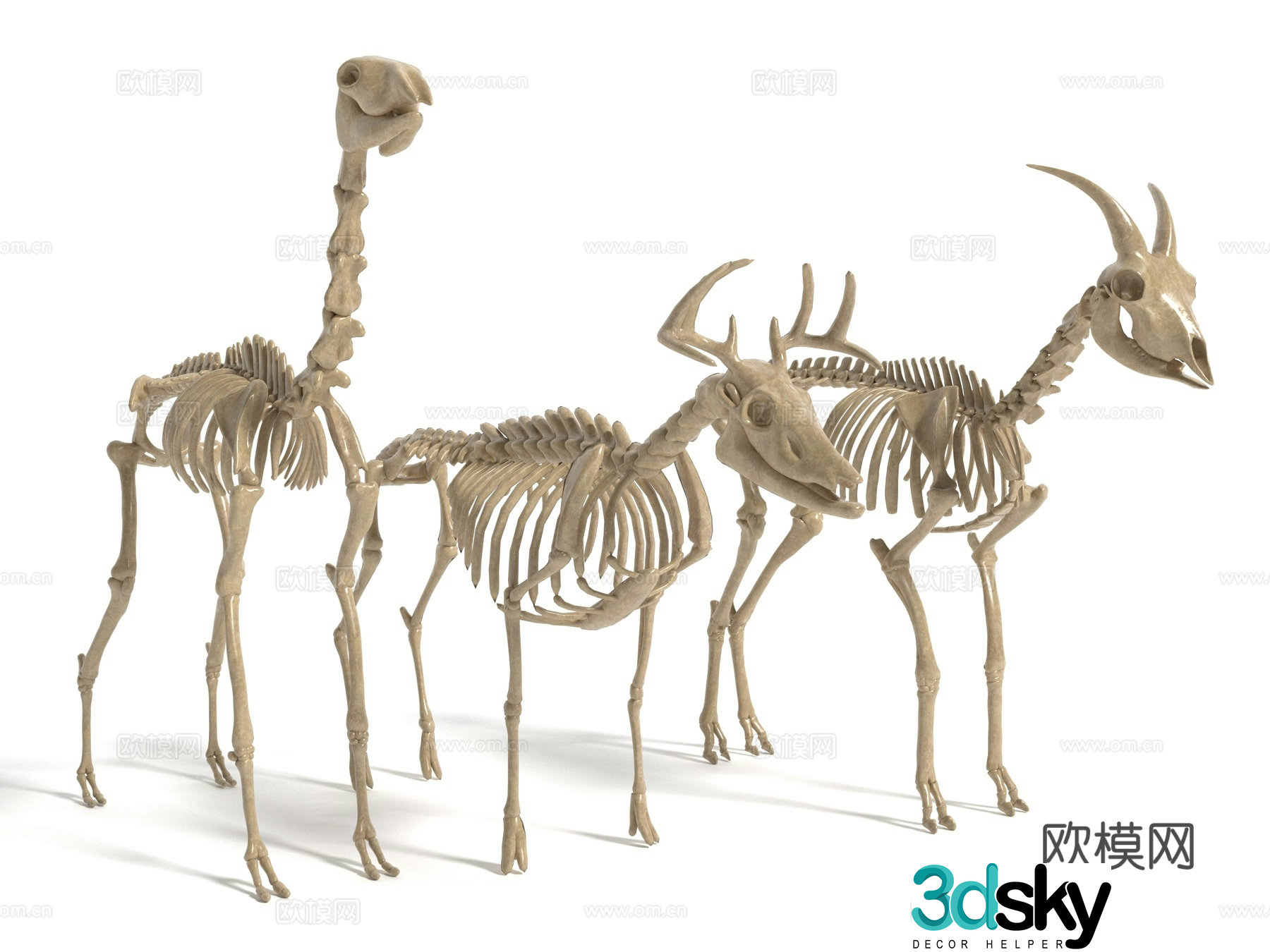 Modern animal skeleton sculpture 3d model