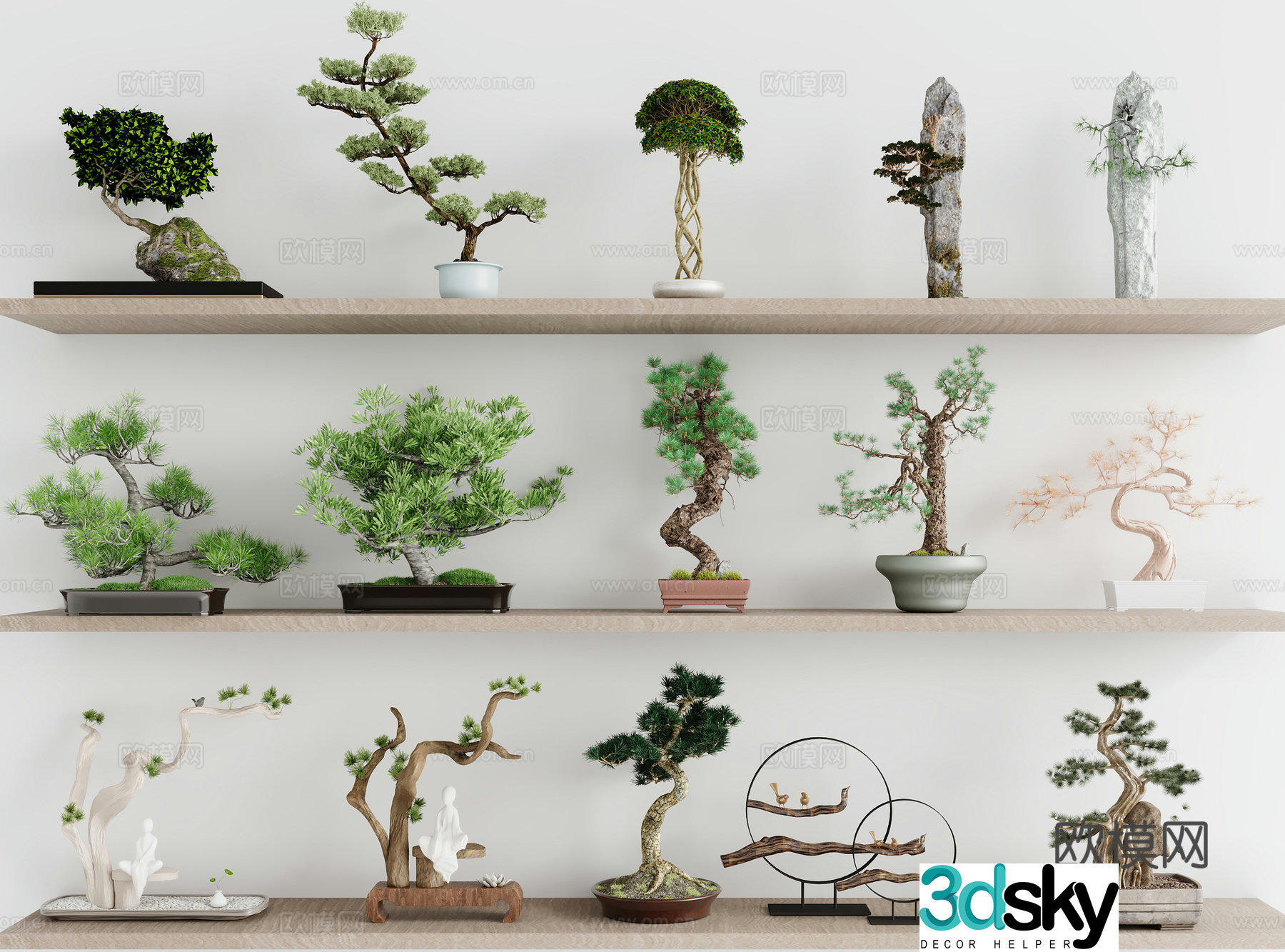 New Chinese style bonsai pine bonsai podocarpus pine and cypress 3D model