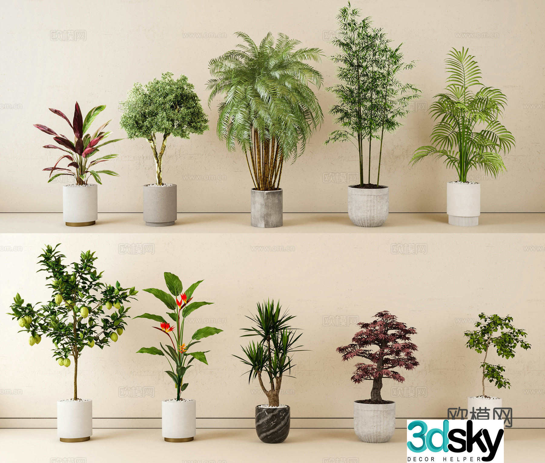 Indoor potted plants green plants home plants potted plants 3d model