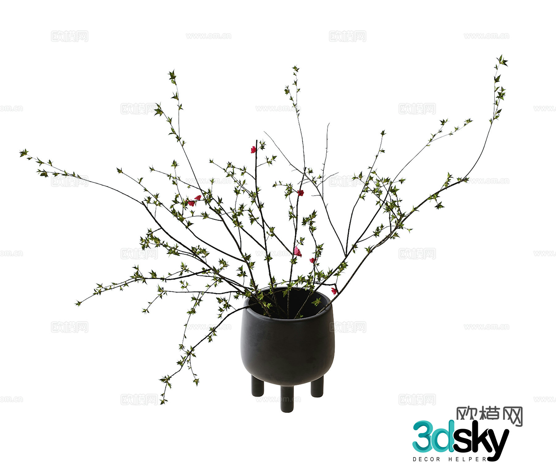 modern vase flower arrangement floral 3d model