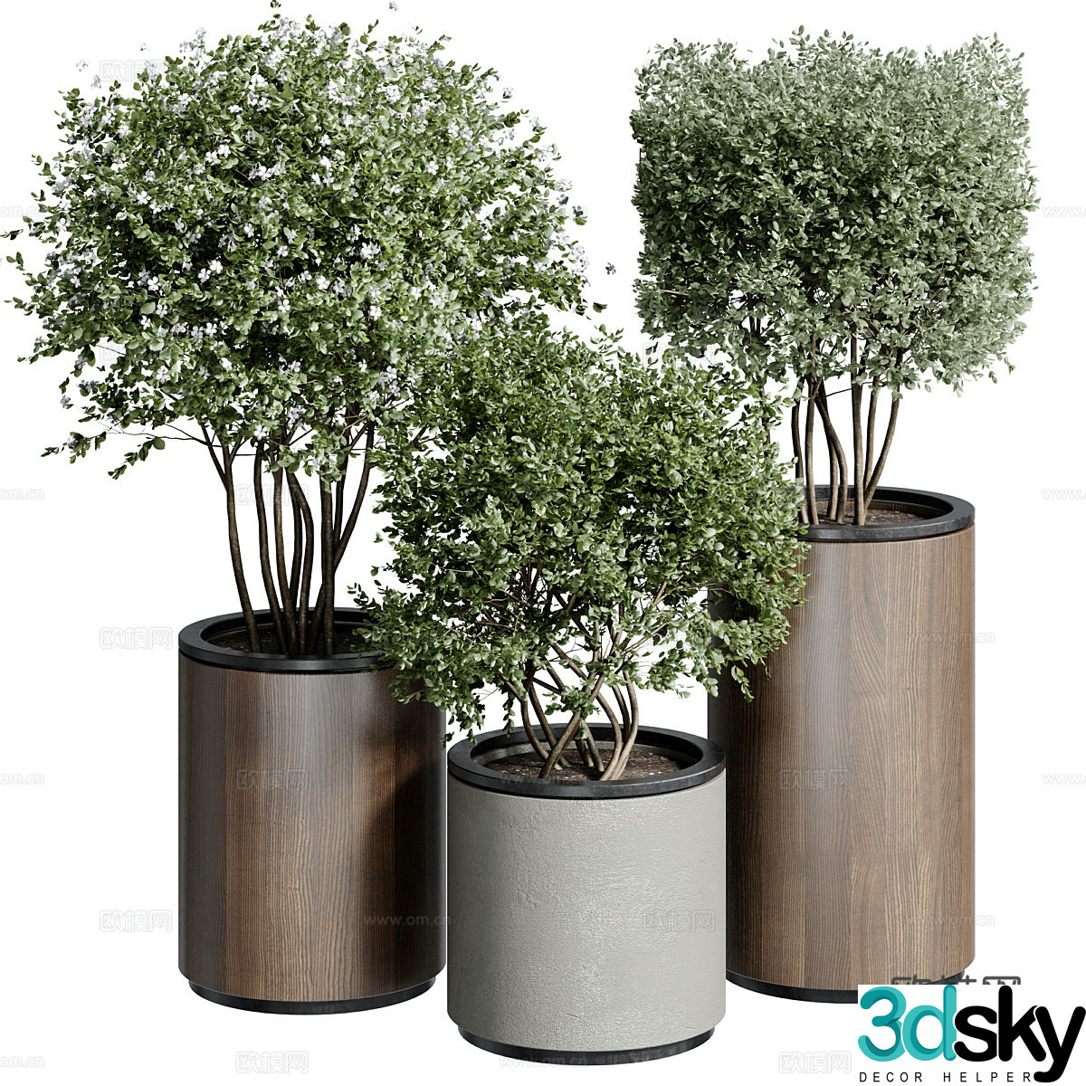 indoor potted plant green plant 3d model