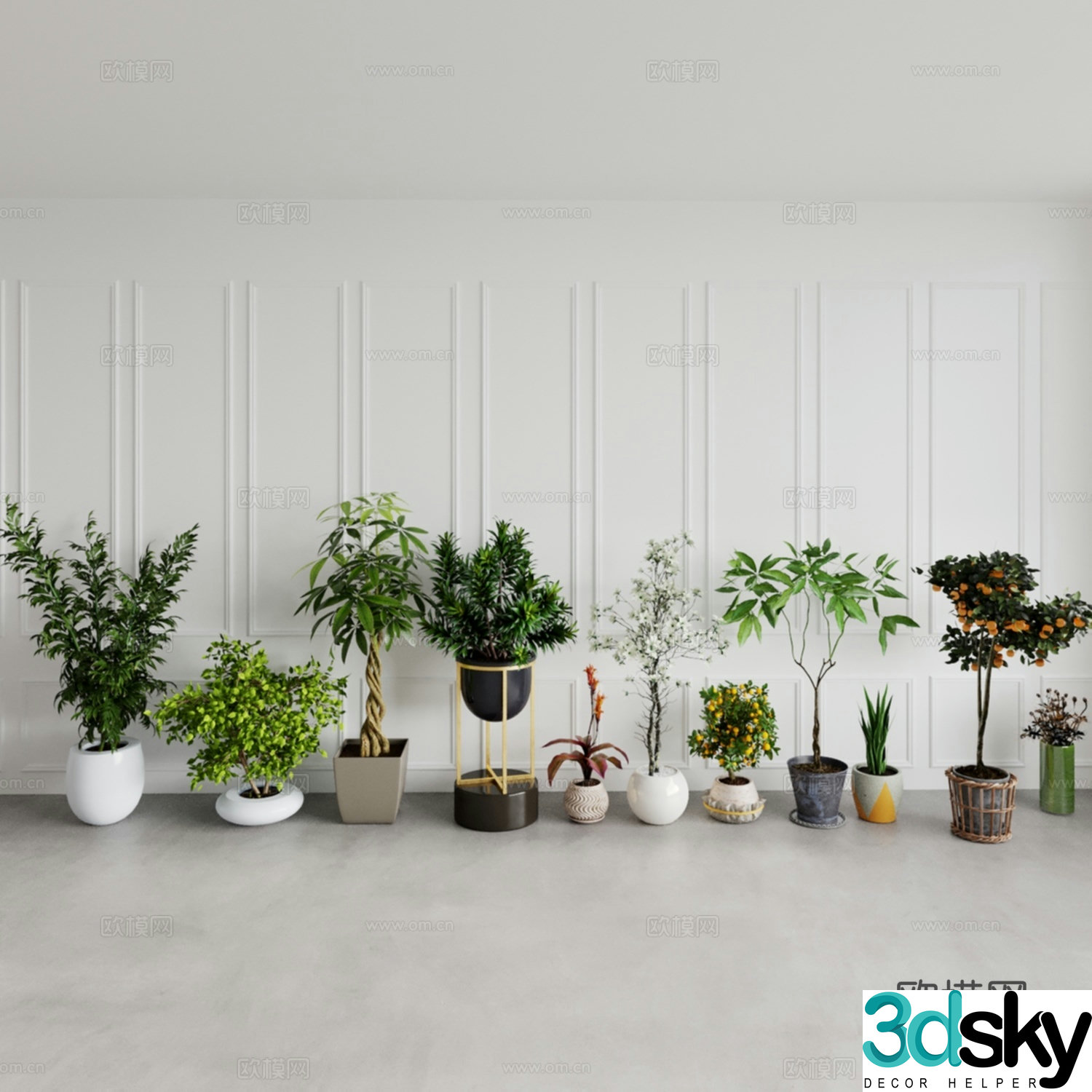 Money orange money tree white flower potted plant metal frame potted plant 3D model