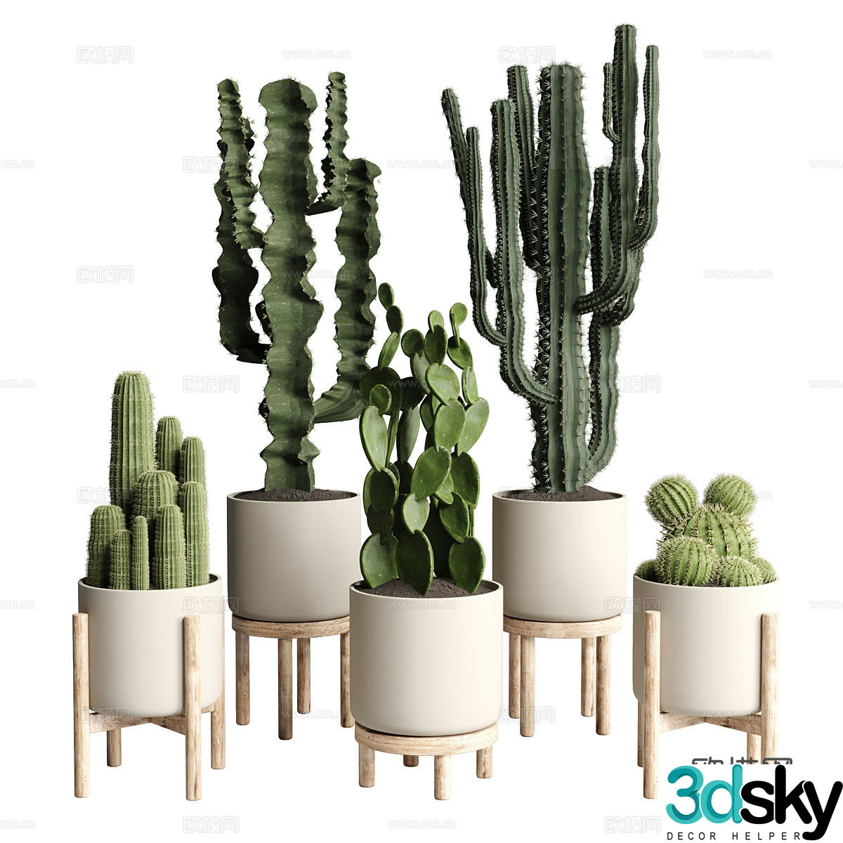 cactus potted 3d model