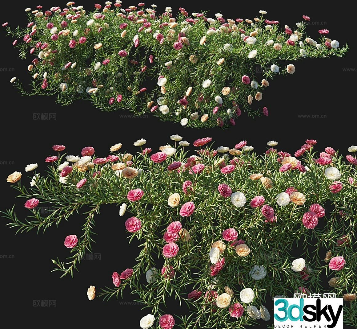 sunflower flower 3d model