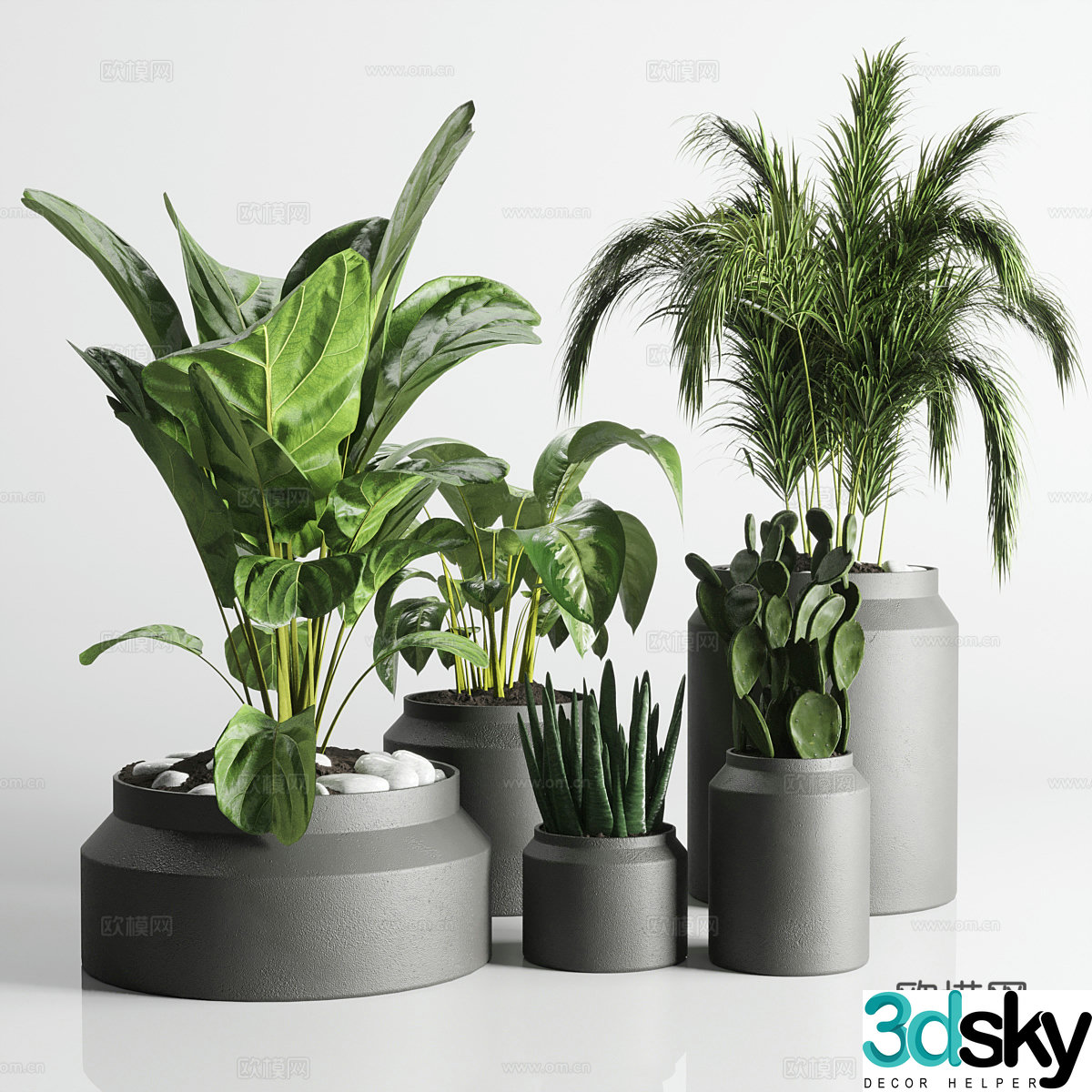 Plant bonsai aloe vera tiger orchid 3d model