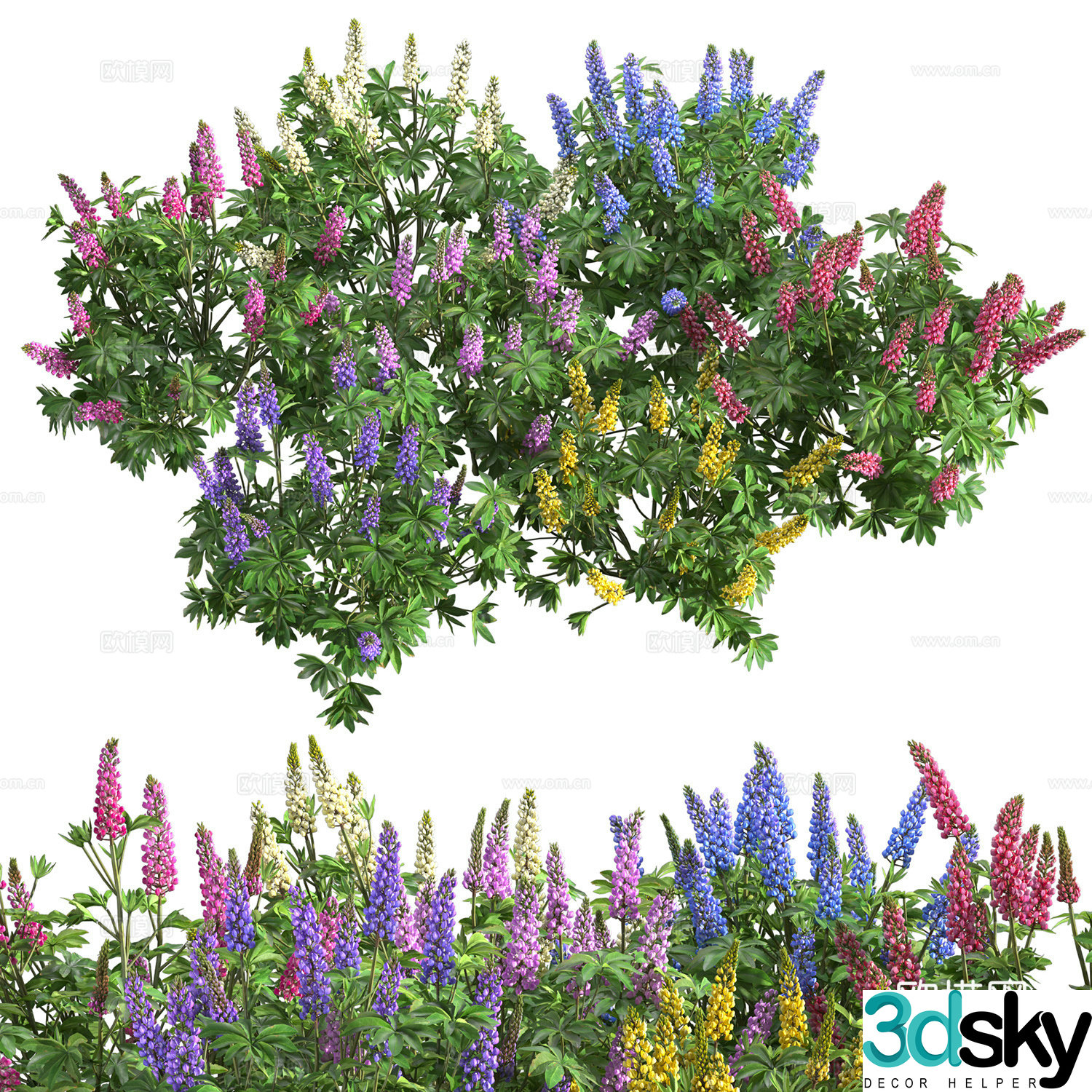 Flowers and green plants 3d model