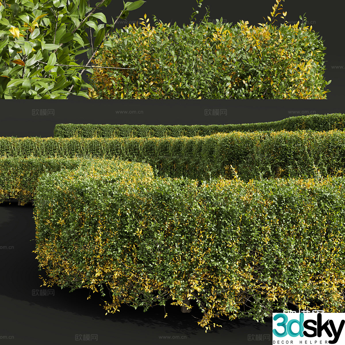 Styling Shrubs Pruning Shrubs Hedge 3d Model