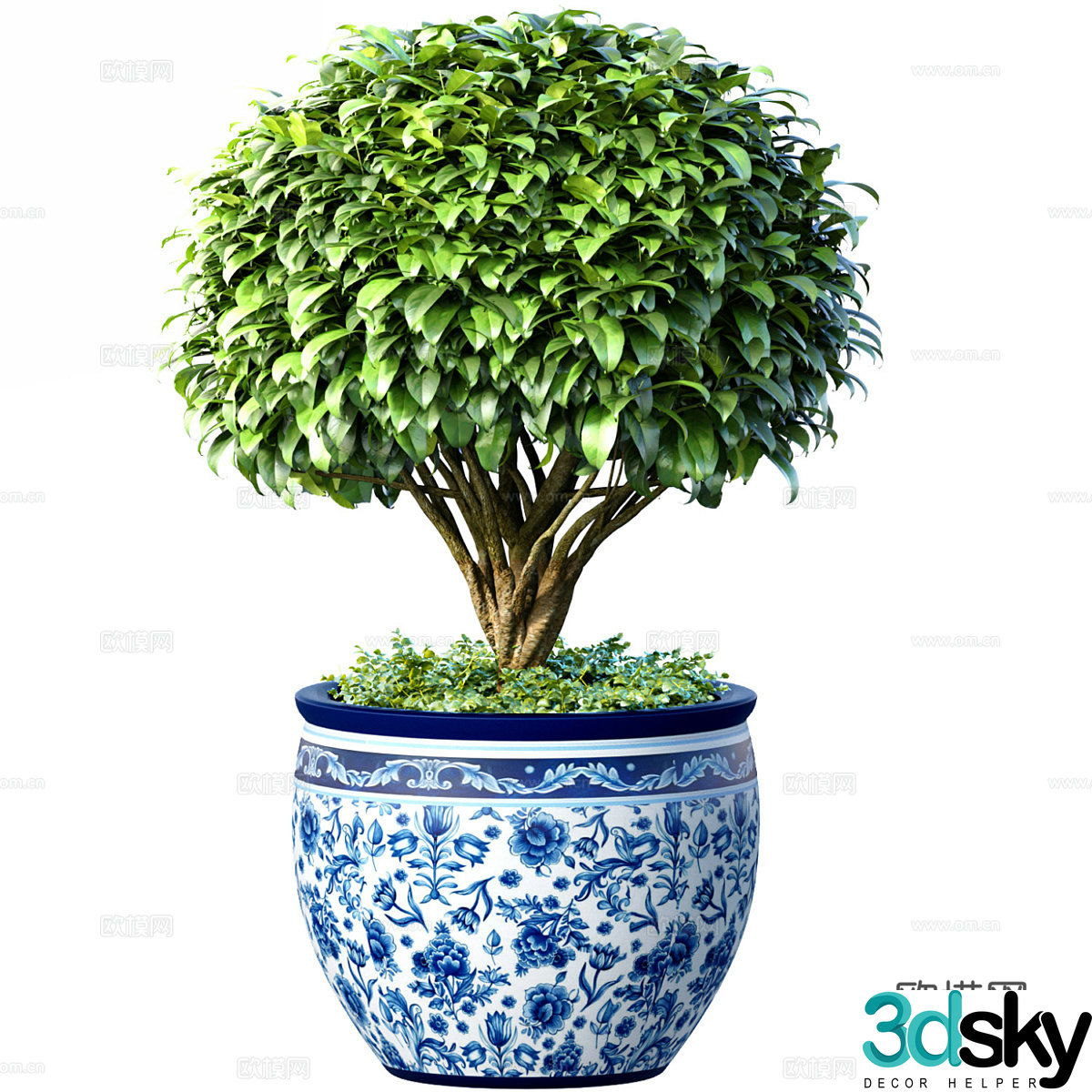 New Chinese style bonsai green plants plant 3d model