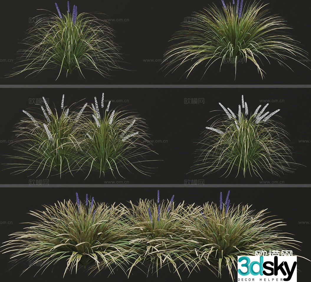 Dwarf lily grass 3d model